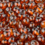 Polished cognac color loose amber beads
