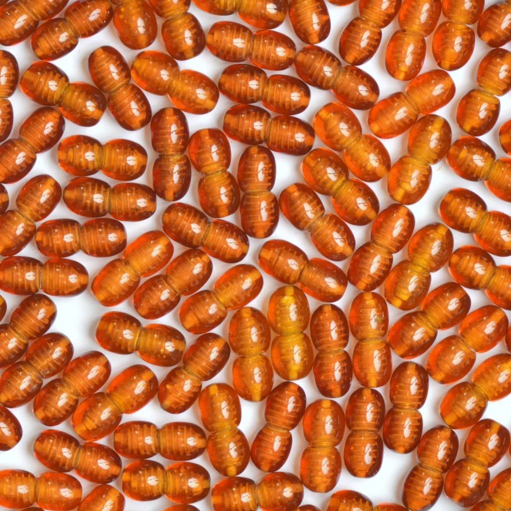 Close-up of amber-orange seed-shaped organic objects on a white background.
