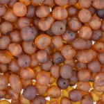 Close-up of warm, translucent amber beads in rich cognac tones for jewelry making.