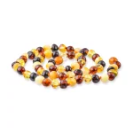 Polished amber necklace multicolor