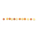 Unpolished bicolour loose amber beads