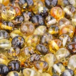 Beautiful amber beads with natural inclusions and rich, warm, glossy tones for jewelry and crafts.