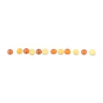 Line of gradient-colored amber beads with glossy, circular surfaces reflecting light.