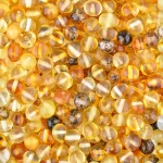 Vibrant Baltic amber beads in warm yellow and chestnut tones with glossy, polished surfaces.