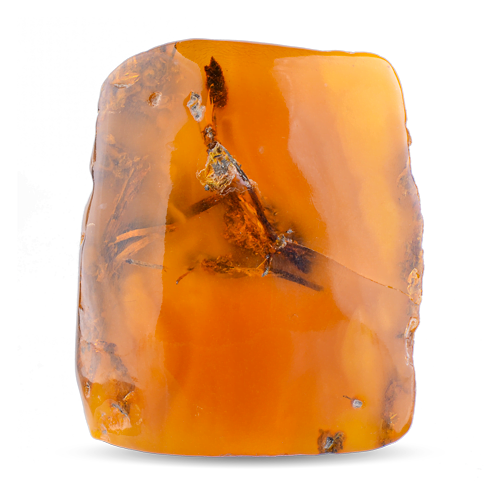 Genuine Baltic amber unique amber piece