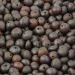 Close-up of dark organic seed beads with natural textures and subtle shimmer for jewelry making.