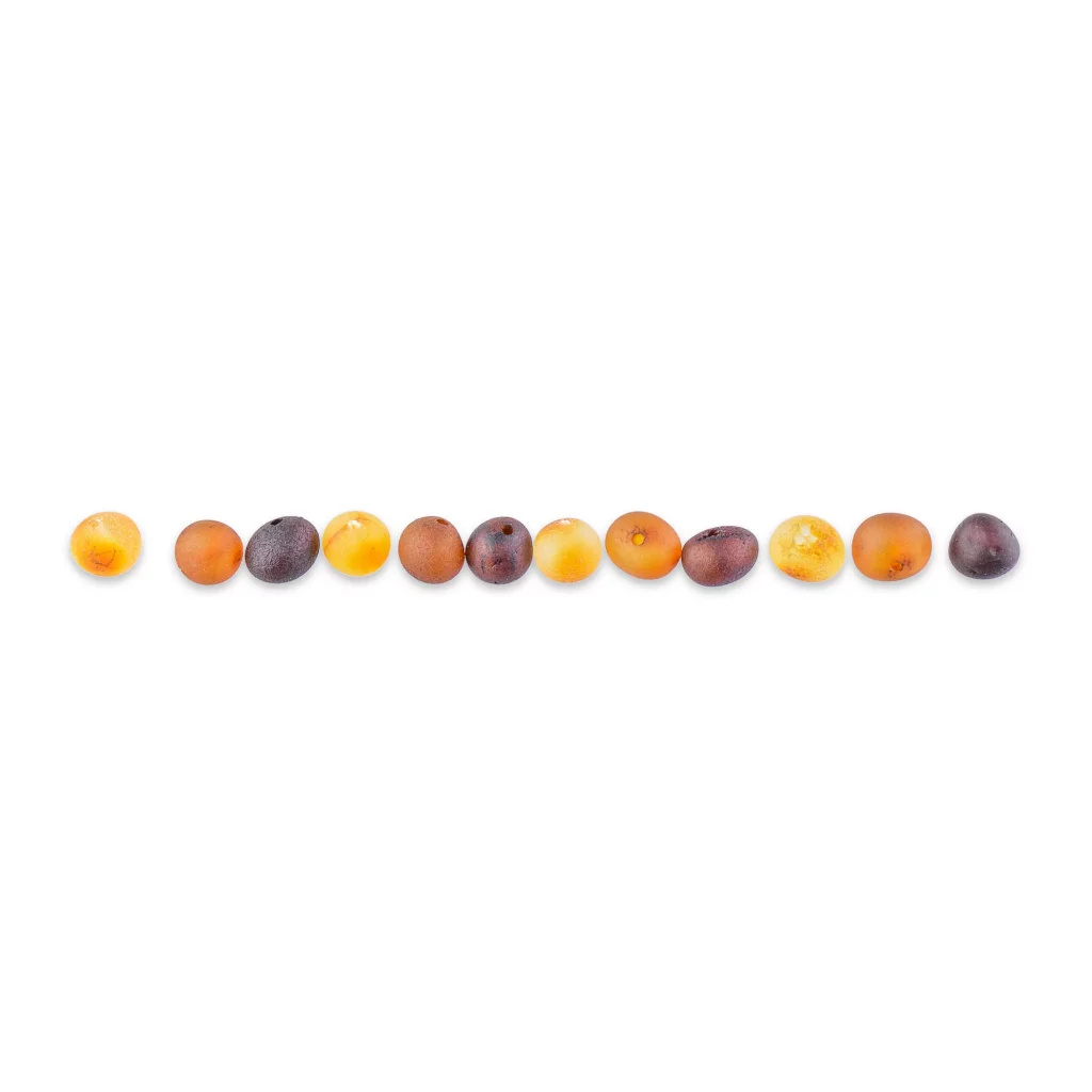 Colorful seeds arranged in a gradient on white background, showcasing natural variation and organic beauty.