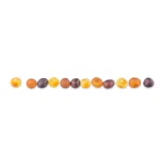 Colorful seeds arranged in a gradient on white background, showcasing natural variation and organic beauty.