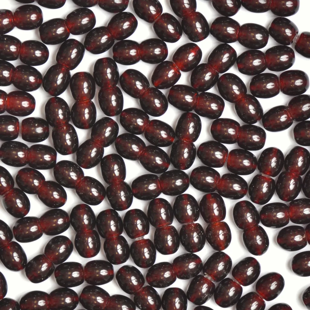 Shiny red oval seeds scattered on white background, representing natural beauty and organic bounty.