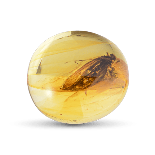 Genuine Baltic amber unique amber piece with inclusion