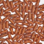 Close-up of numerous reddish-brown supplement capsules arranged densely on a white background.