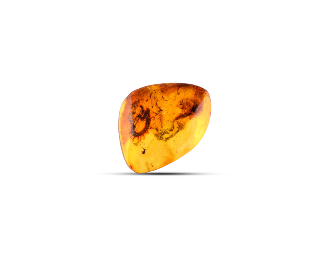 A large, natural Baltic amber piece with rich golden and honey tones, featuring unique textures and inclusions that highlight its organic origin. Its irregular shape and raw, unpolished surface capture the essence of natural beauty, making it a remarkable and collectible specimen. The amber glows with warm, earthy hues, offering a glimpse into the ancient history preserved within.