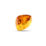 A large, natural Baltic amber piece with rich golden and honey tones, featuring unique textures and inclusions that highlight its organic origin. Its irregular shape and raw, unpolished surface capture the essence of natural beauty, making it a remarkable and collectible specimen. The amber glows with warm, earthy hues, offering a glimpse into the ancient history preserved within.