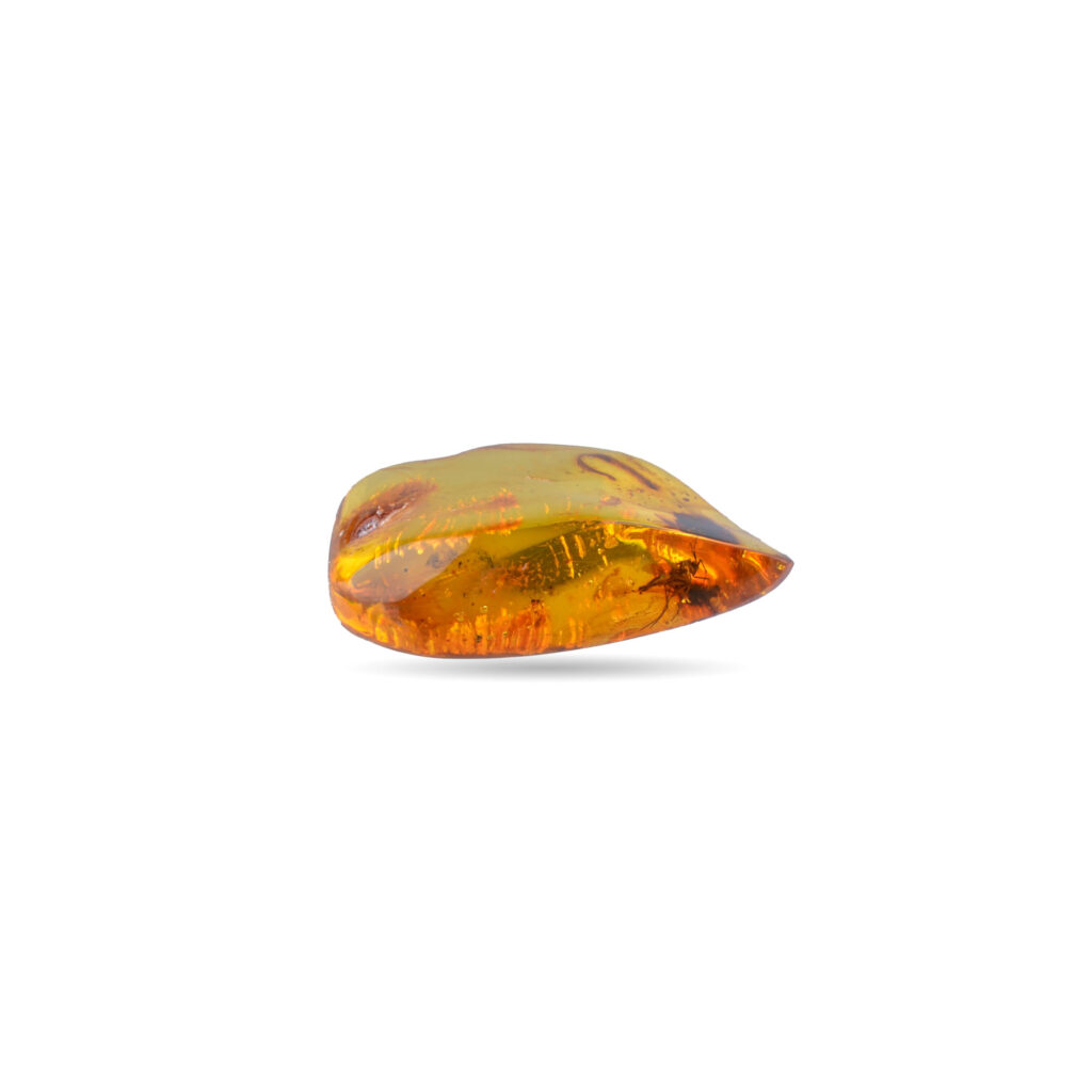 A close-up image of a genuine amber piece showcasing a fossilized insect inclusion. The golden-honey hues of the amber are transparent enough to reveal the intricate details of the insect, suspended in time. The smooth, polished surface of the amber contrasts with the ancient organic form trapped inside, highlighting both the beauty of the amber and the fascinating glimpse into prehistoric life.