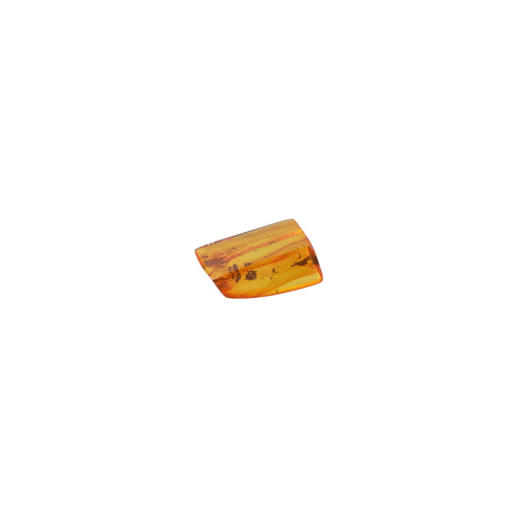 A genuine Baltic amber piece containing a large fly and two mosquitoes, perfectly preserved within its rich golden resin. The insects' intricate details, including their wings and delicate bodies, are clearly visible through the translucent amber, offering a remarkable view of ancient life. The amber's smooth surface and organic shape highlight the natural beauty of this rare and scientifically valuable fossil.