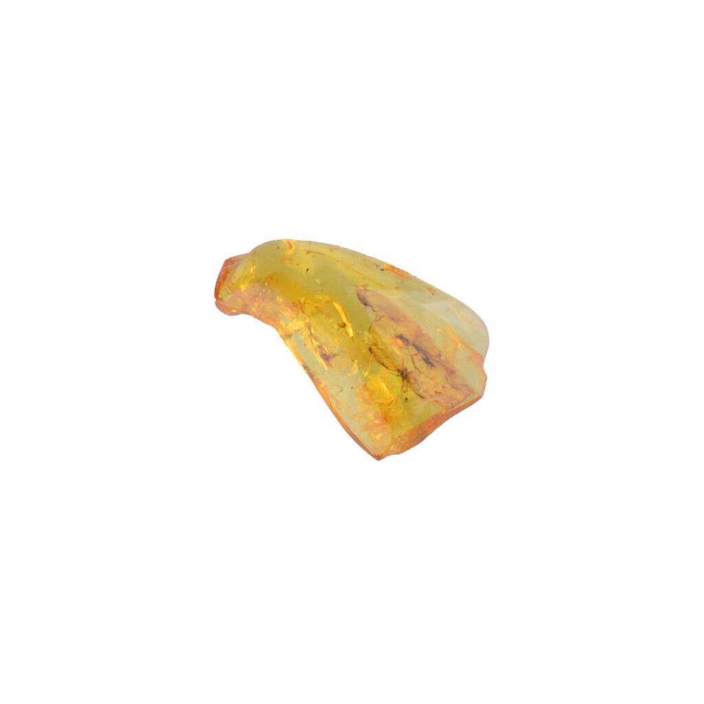 Natural Baltic amber piece featuring three flies preserved within the resin. The amber has a warm, golden hue and a translucent quality, clearly displaying the detailed structures of the embedded insects.