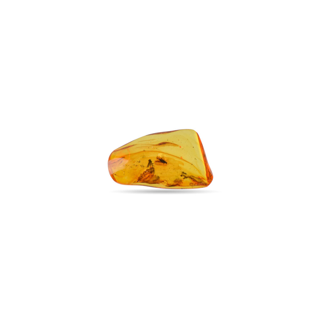 Side view of the amber showing the fly's legs and body. The amber's smooth, translucent surface provides a detailed view of the insect's structure.