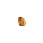 Polished Baltic amber with natural plant and insect inclusions, showcasing warm, golden hues and organic beauty.