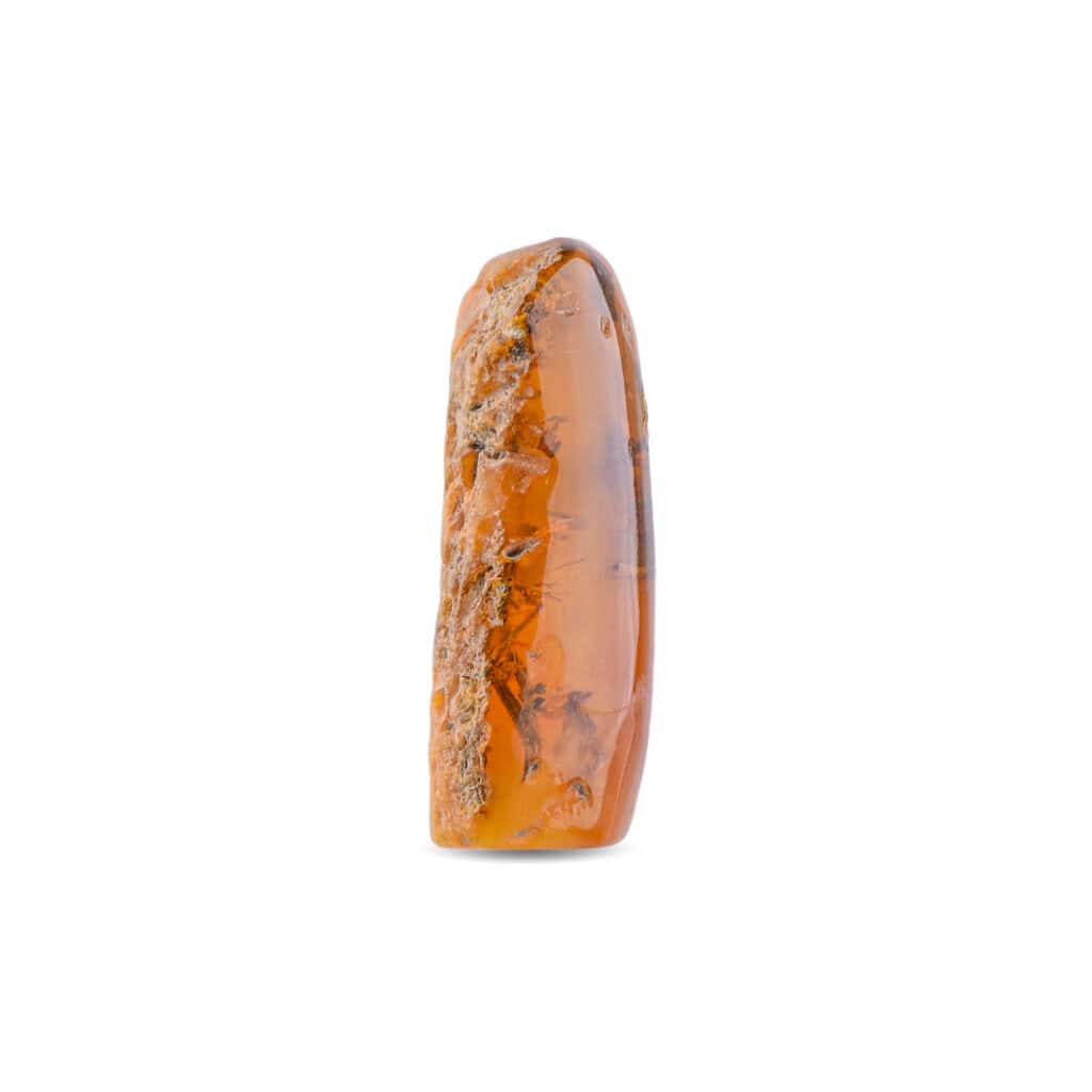 Shiny Baltic amber with natural inclusions, showcasing warm tones and ancient fossilized beauty.