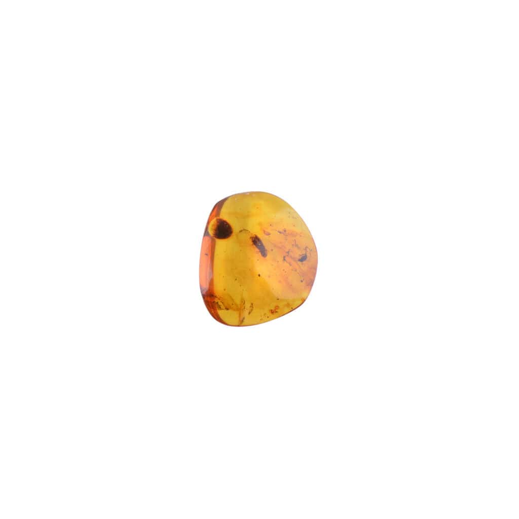 Polished Baltic amber necklace with fossil insect and beetle inclusions, natural and elegant jewelry piece.