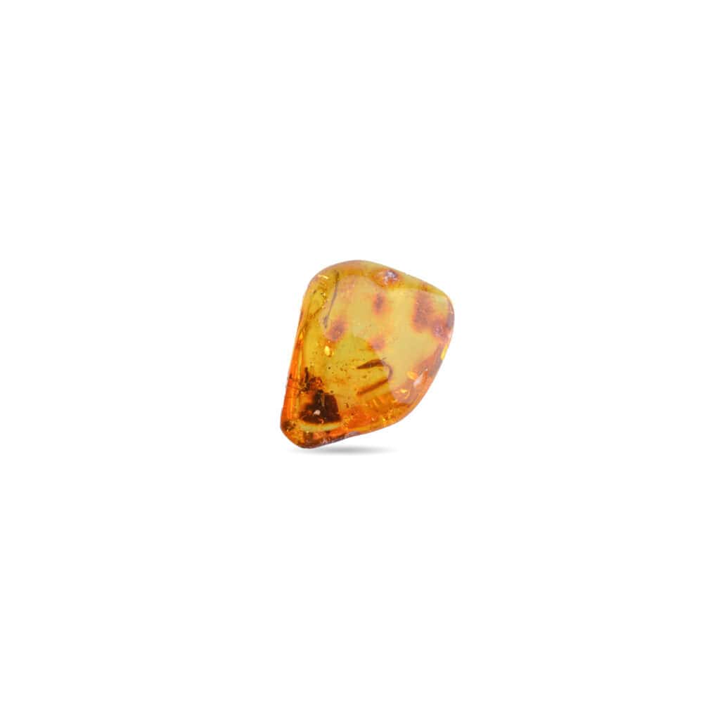Polished amber pendant with natural inclusions, showcasing warm color and prehistoric fossil details.