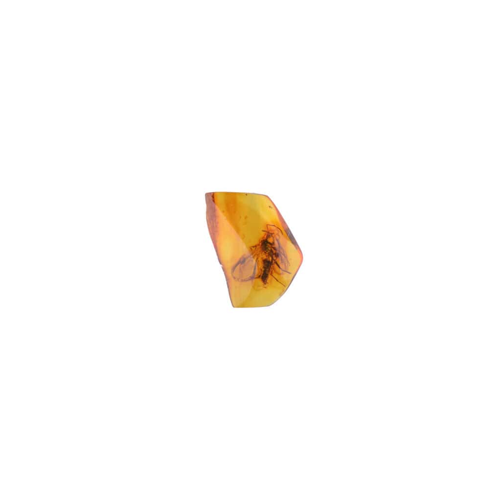 Polished amber pendant showcasing natural inclusions and warm, golden hues with organic, prehistoric details.