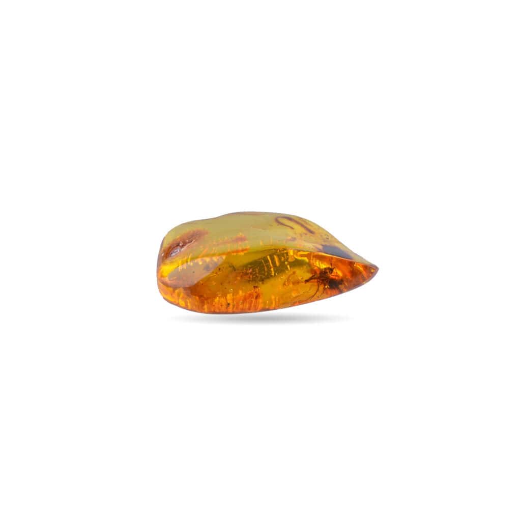 Polished Baltic amber with natural inclusions and a warm golden glow, perfect for jewelry.