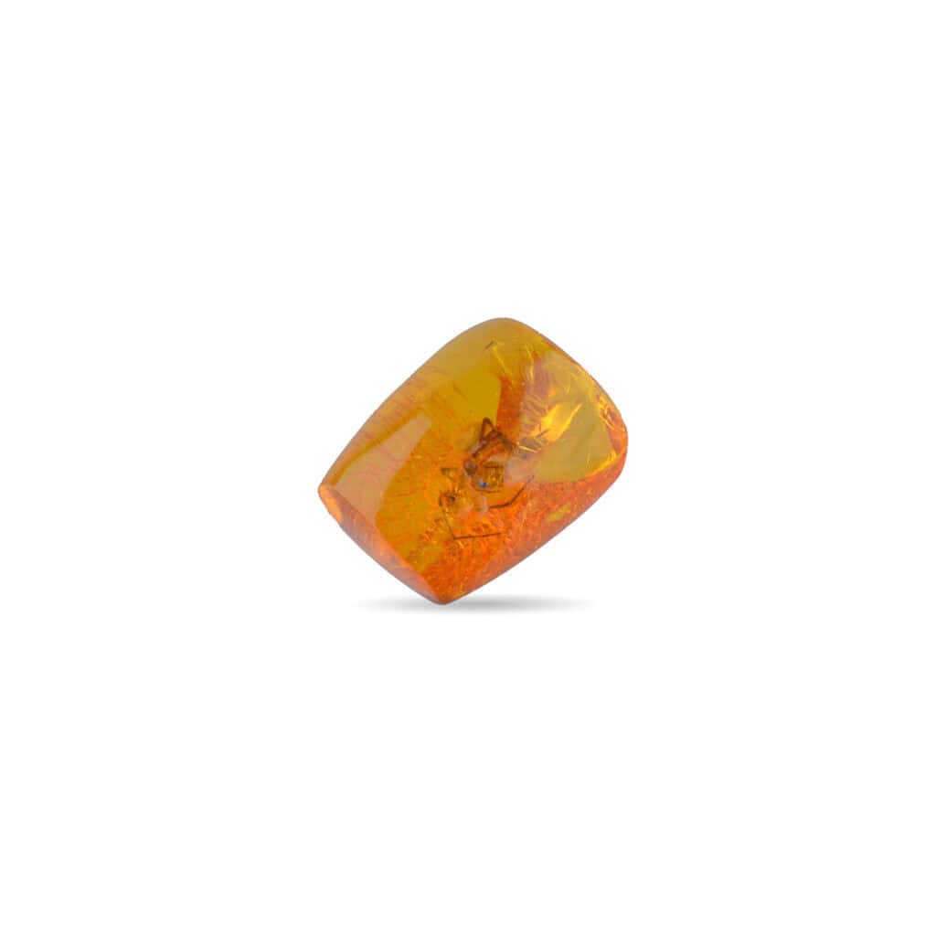 Polished amber gemstone with warm orange hues, subtle color variations, and natural geological beauty.