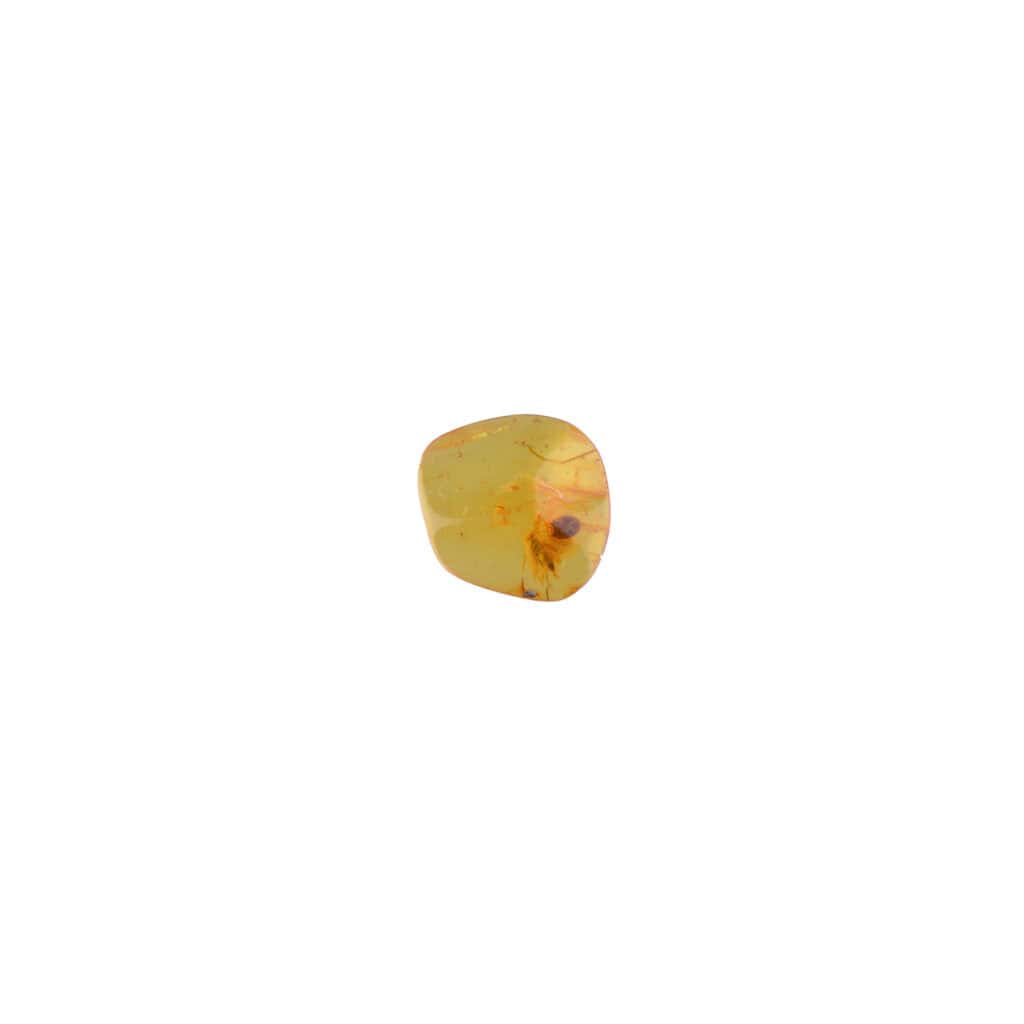 Amber with natural inclusions, smooth surface, honey color, and organic, irregular shape.