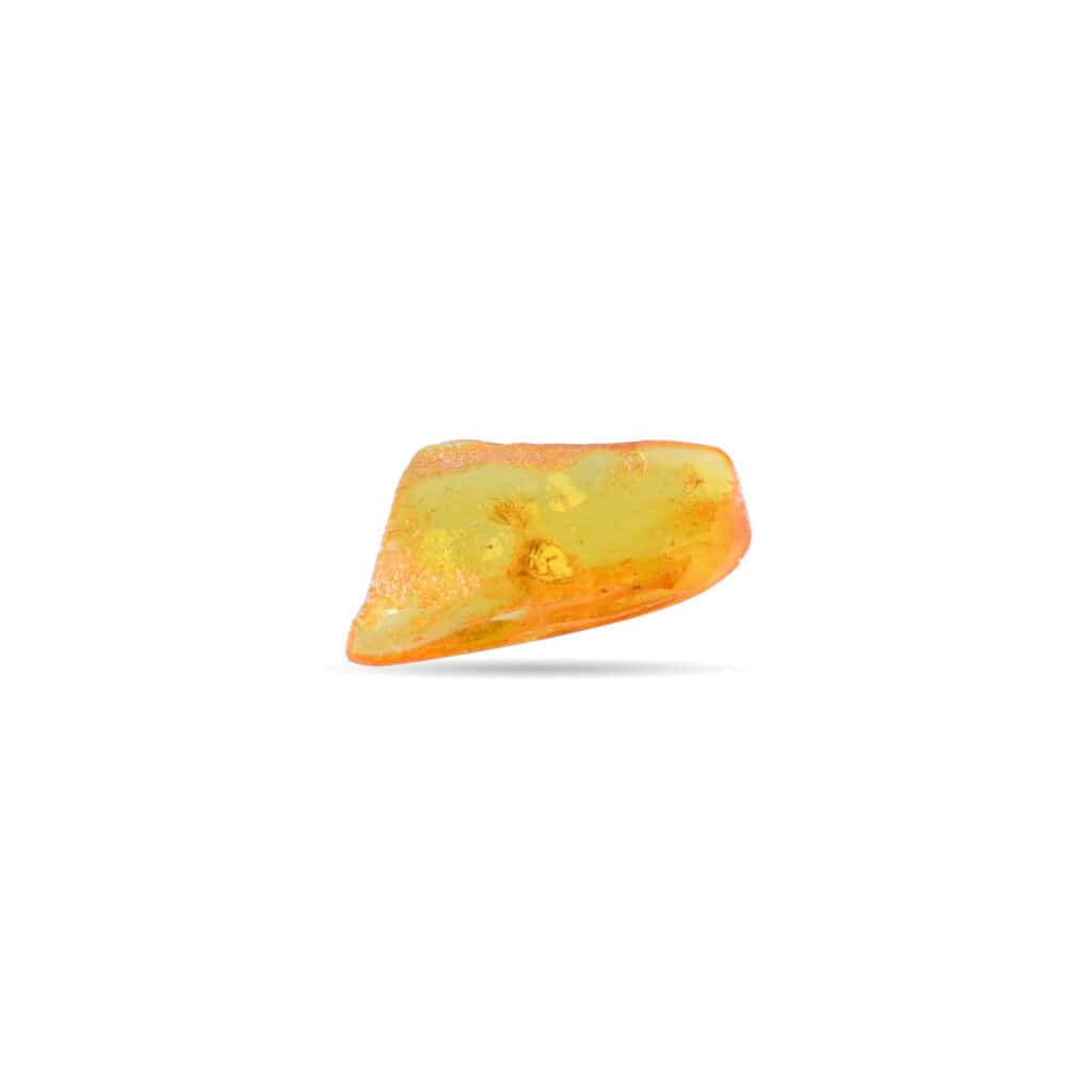 Polished Baltic amber with natural inclusions of ancient insects and vibrant golden-orange hues.