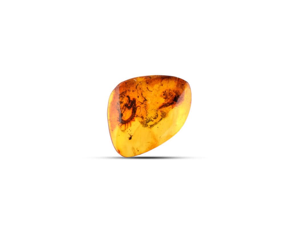 Golden Baltic amber with natural insect inclusions, centuries-old, perfect for jewelry and collectors.