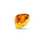 Golden Baltic amber with natural insect inclusions, centuries-old, perfect for jewelry and collectors.
