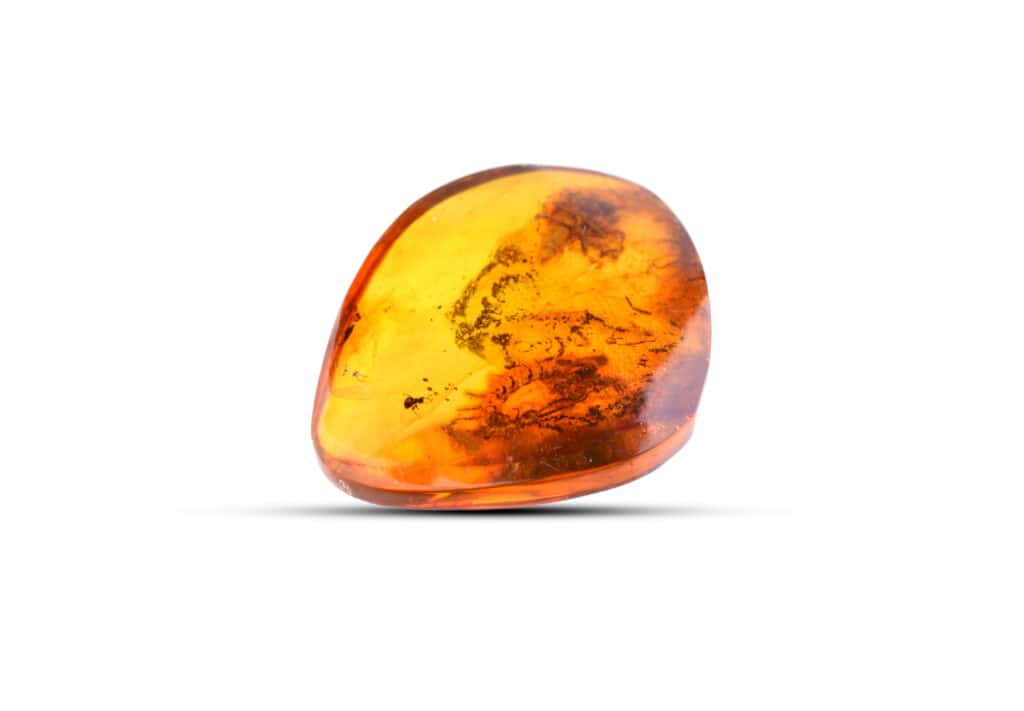 Polished Baltic amber with organic inclusions, warm golden hues, and smooth, teardrop-shaped surface.