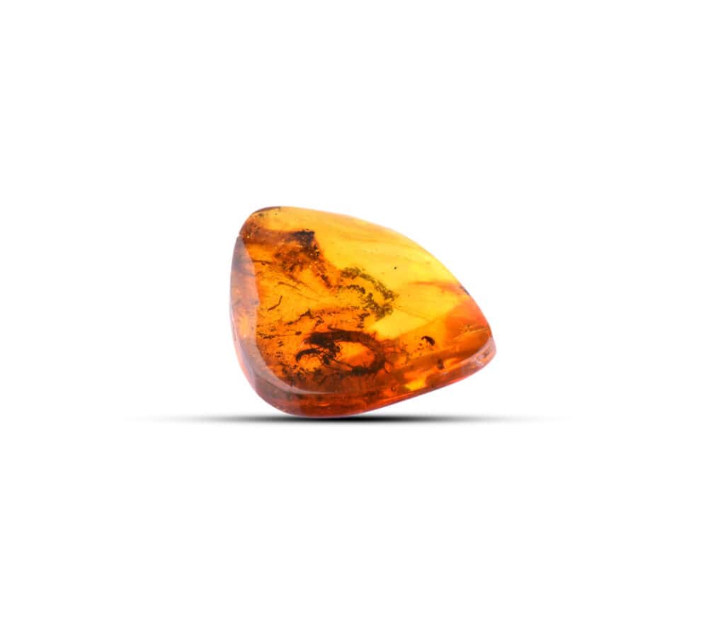 Polished Baltic amber with natural inclusions and warm, golden glow, highlighting ancient preserved life.