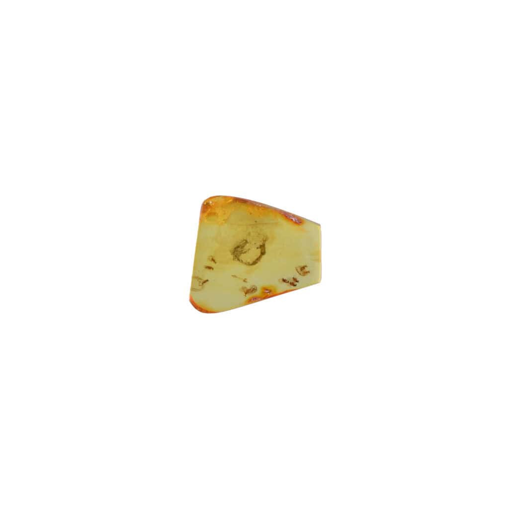 Baltic amber pendant with preserved insect inclusion, showcasing natural beauty and ancient craftsmanship.