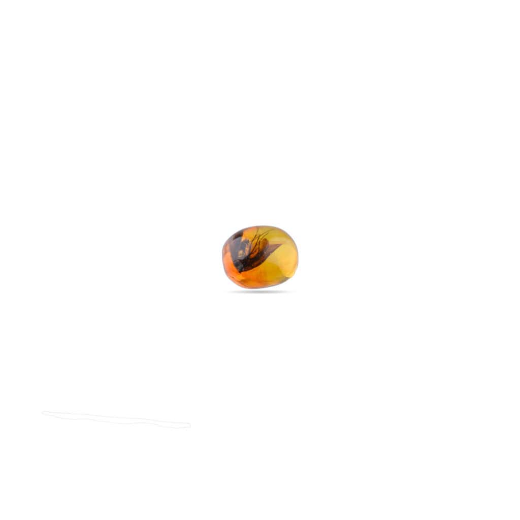 Polished amber gemstone with organic inclusion and warm, amber hues on a white background.