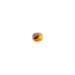 Polished amber gemstone with organic inclusion and warm, amber hues on a white background.