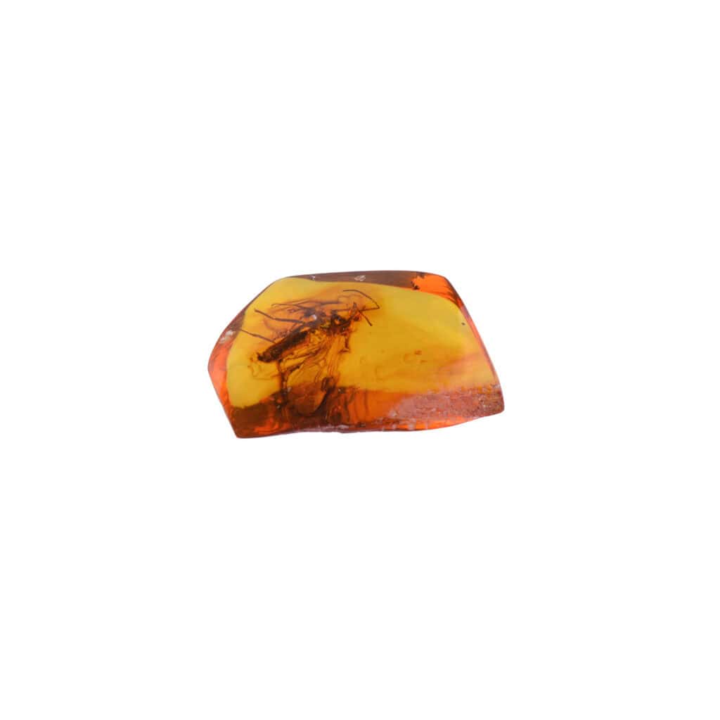 Natural Baltic amber with insect inclusion, warm golden color, handcrafted jewelry piece.