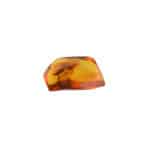 Natural Baltic amber with insect inclusion, warm golden color, handcrafted jewelry piece.