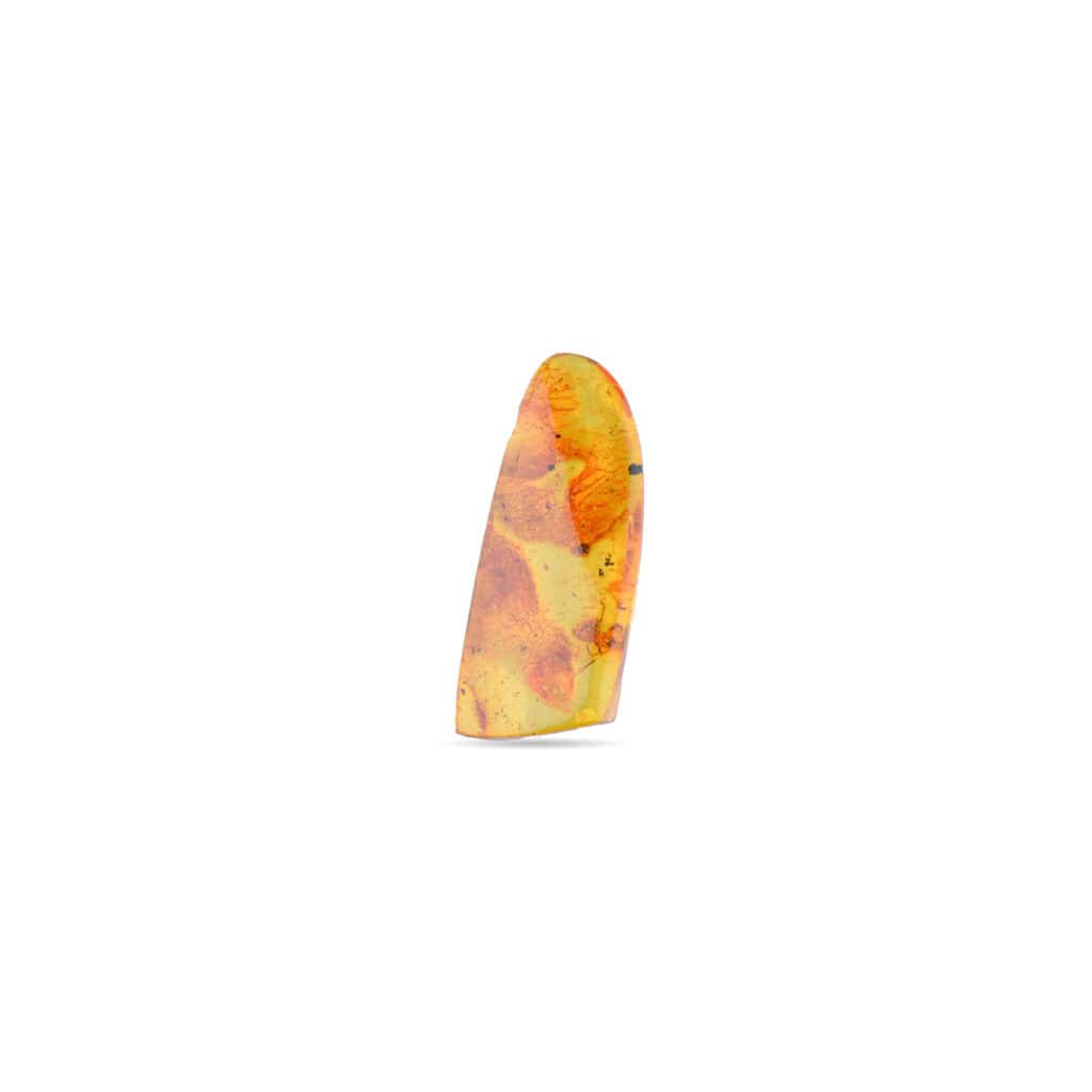 Amber with insect inclusions, glowing golden resin, natural beauty, unique fossilized preservation.