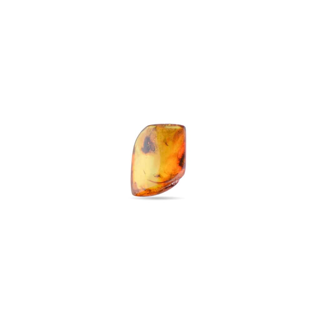 Polished amber with insect inclusions showcasing natural beauty and ancient preservation inside.