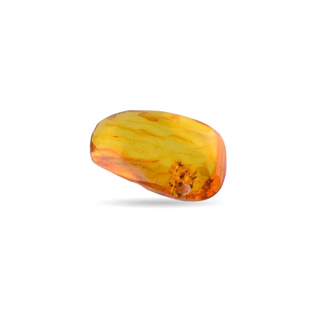 Polished Baltic amber with natural inclusions, glowing golden resin, and organic, irregular shape.