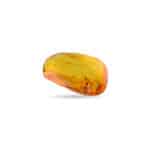 Polished Baltic amber with natural inclusions, glowing golden resin, and organic, irregular shape.