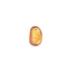Polished Baltic amber with natural inclusions and warm, golden hues, showcasing organic beauty and timeless elegance.