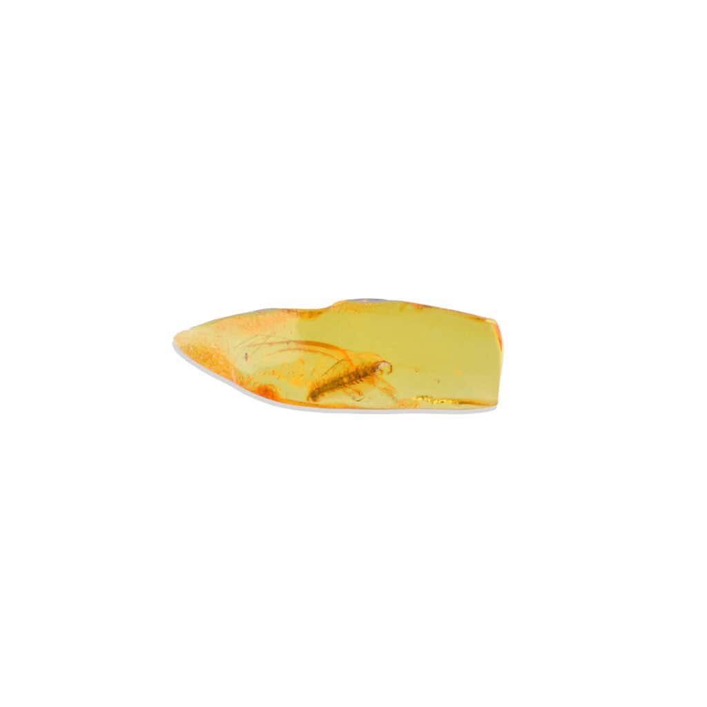 Amber pendant with preserved insect inclusion, natural golden color, handcrafted Baltic jewelry.