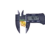 Digital caliper measuring small natural object, highlighting precision in biological or natural study.