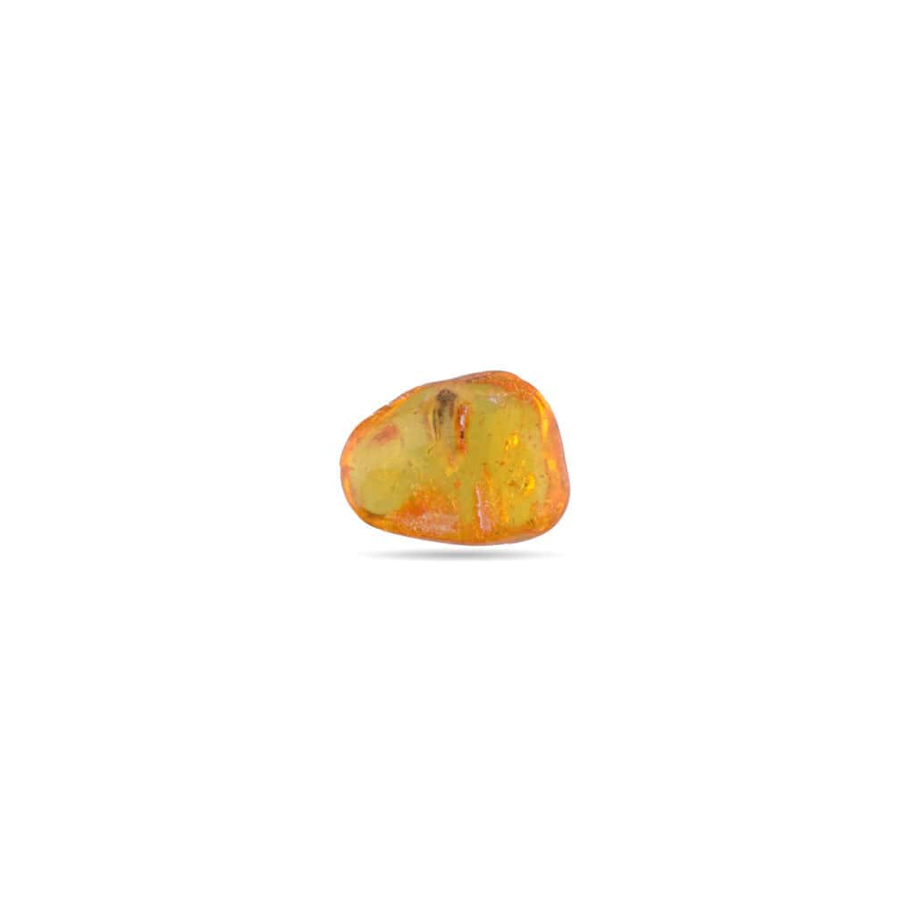 Polished Baltic amber with insect inclusion, showcasing warm colors and natural preserved details.