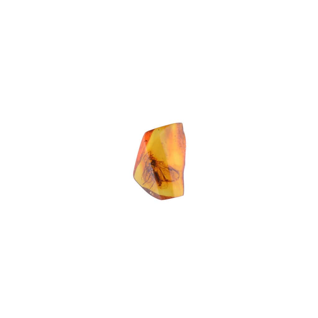 Handmade Baltic amber pendant with preserved insect, natural colors, and organic elegance.