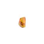 Handmade Baltic amber pendant with preserved insect, natural colors, and organic elegance.