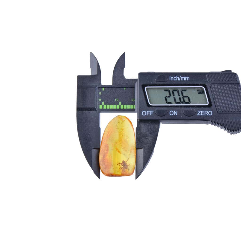 Precise measurement of Baltic amber with inclusions using digital calipers, highlighting natural beauty.